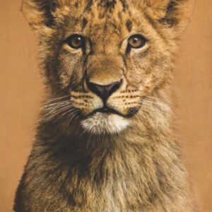 Poster Pui de leu