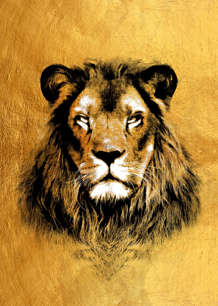 Poster Leu impozant
