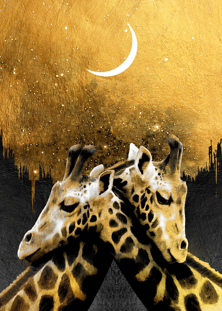 Poster Girafe sub cer înstelat