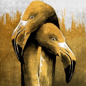 Poster Flamingo aurii